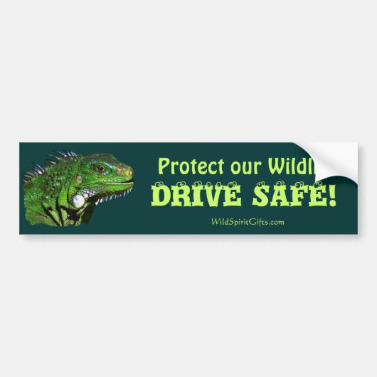 Groene Iguana Collectie Bumpersticker (Voorkant)