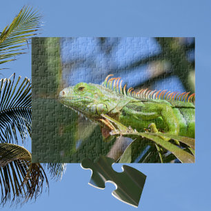 Groene Iguana in een palmboom Fotografisch Legpuzzel