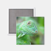 Groene Iguana Lizard Reptiel op blad magneet (Voorkant / Achterkant)