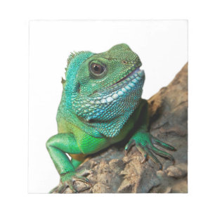 Groene iguana notitieblok