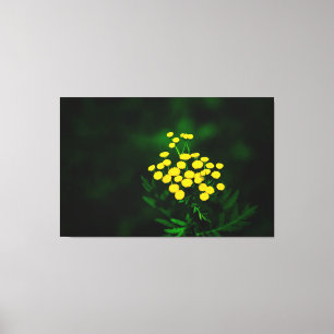 Groene jas met gouden Buttonnen Canvas Afdruk
