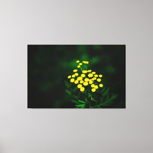 Groene jas met gouden Buttonnen Canvas Afdruk (Voorkant)