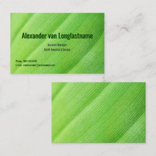 Groene kaart met bananenblad visitekaartje