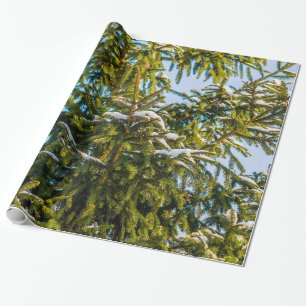 Groene kerstboom in sneeuw cadeaupapier