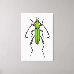 Groene kever canvas afdruk