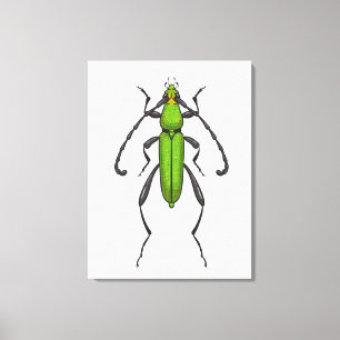 Groene kever canvas afdruk