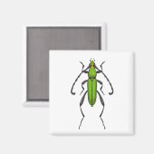 Groene kever magneet (Voorkant / Achterkant)