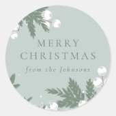 Groene Kever Sticker (Voorkant)