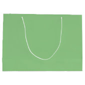 Groene kikker groot cadeauzakje (Achterkant)