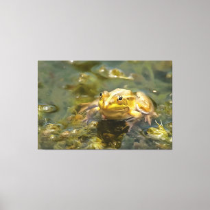 Groene kikker in laagwater Acrylverf Canvas Afdruk