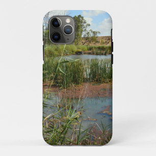 Groene kikker op Roodzaad boven Zwemel, iPhone 11 Pro Hoesje