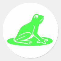Groene kikker op wit