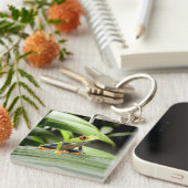 Groene kikker sleutelhanger (Voorkant Rechts)