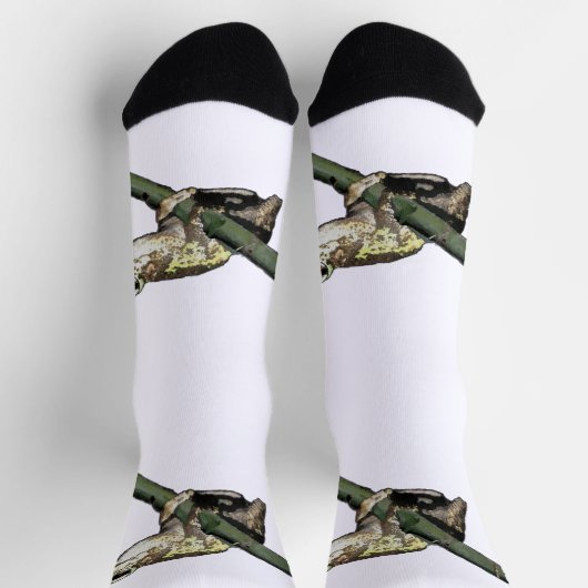 Groene kikker, Sokken van de knaap (Top)