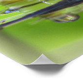 Groene kikkerafdrukken poster (Hoek)