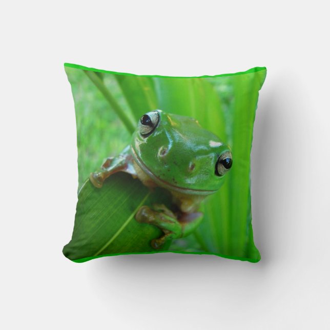 Groene kikkerbuis kussen (Voorkant)