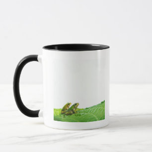 Groene kikkers met verlof mok