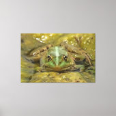 Groene kikkervisje tegen de weersrivierbedding canvas afdruk (Voorkant)