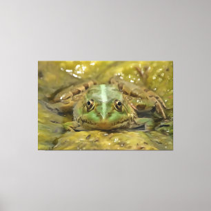 Groene kikkervisje tegen de weersrivierbedding canvas afdruk