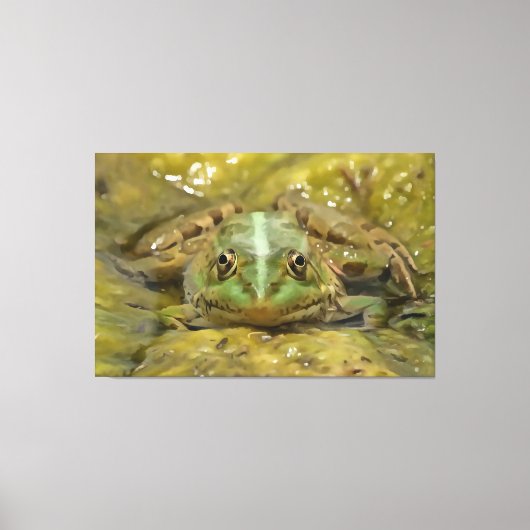 Groene kikkervisje tegen de weersrivierbedding canvas afdruk (Voorkant)