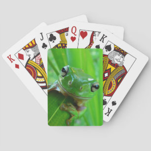Groene kikkervisjes speelkaarten