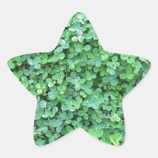 Groene Klaver Natuur Foto Ster Sticker (Voorkant)