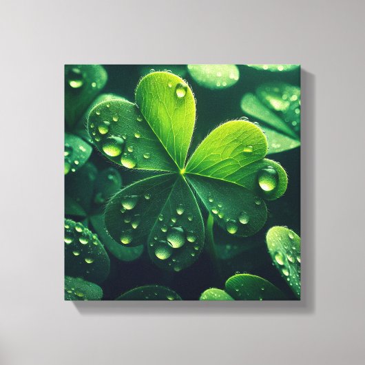 Groene klaverbladeren met waterdruppels - canvas afdruk (Voorkant)
