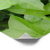 Groene klimop botanische print (Hoek)