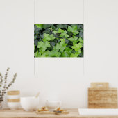 Groene klimop botanische print (Keuken)