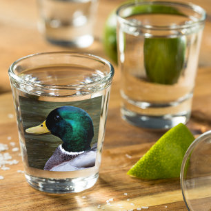Groene kop Mallard Duck Shot Glas