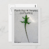 Groene leguaan briefkaart (Voorkant / Achterkant)