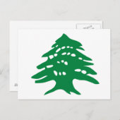 Groene Libanese cedar-boom Briefkaart (Voorkant / Achterkant)