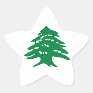 Groene Libanese cedar-boom Ster Sticker