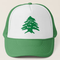 Groene Libanese cedar-boom