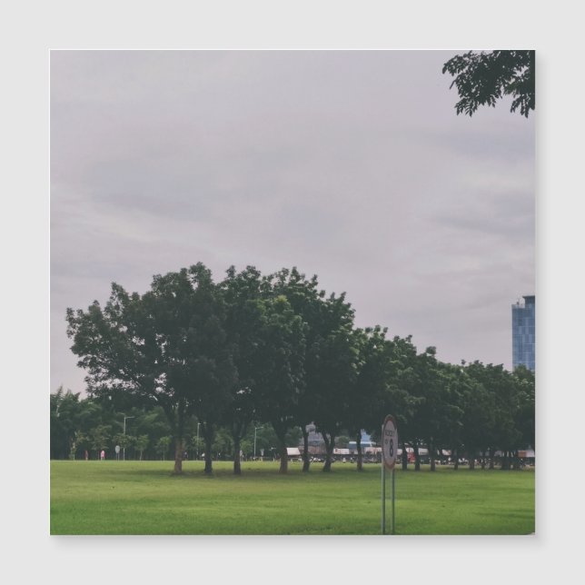 Groene lijn (Voorkant)