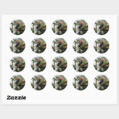 Groene Macaw #4 Stickers (Vel)