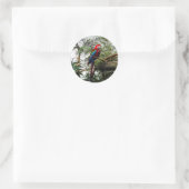 Groene Macaw #4 Stickers (Tas)