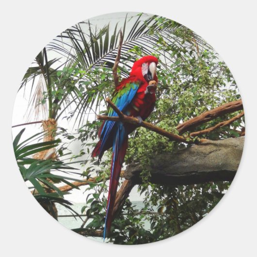 Groene Macaw #4 Stickers (Voorkant)