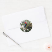 Groene Macaw #4 Stickers (Envelop)