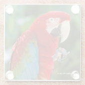 groene Macaw Parrot Bird Glazen Onderzetter (Achterkant)