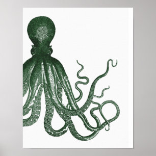 Groene moderne Octopus Poster
