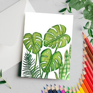 Groene Monstera Bladeren Tekening Gekleurd Potlood Briefkaart