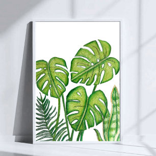 Groene Monstera Bladeren Tekening Gekleurde Potloo Poster