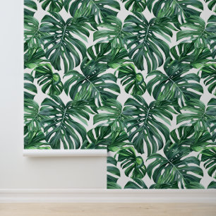 Groene monstera verlaten patroon exotische flora behang