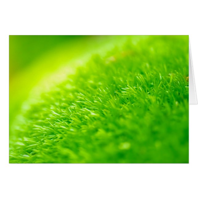 Groene mos (Voorkant Horizontaal)