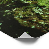 Groene mos poster (Hoek)