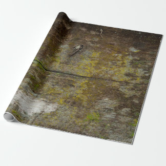 Groene mos textuur en achtergrond. abstract, leven cadeaupapier
