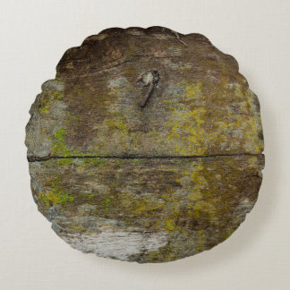 Groene mos textuur en achtergrond. abstract, leven rond kussen