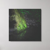 Groene mossy rots met reflectie in water canvas afdruk (Voorkant)