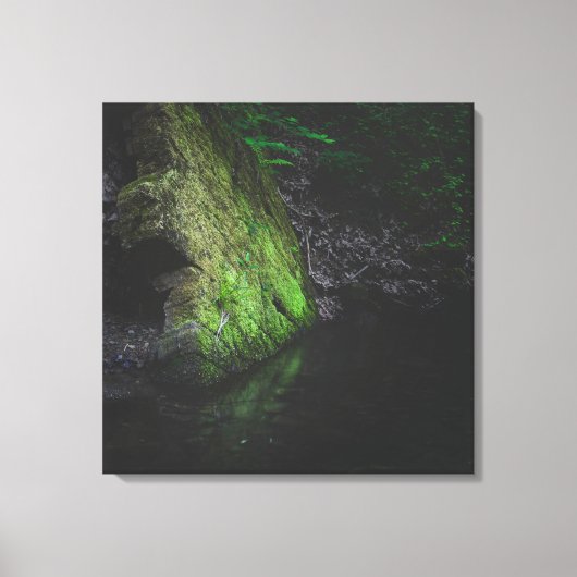 Groene mossy rots met reflectie in water canvas afdruk (Voorkant)
